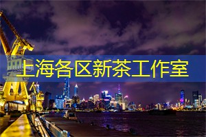 【独家】揭秘上海后花园的奇幻秘密，欢迎一探究竟！