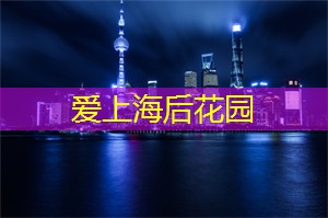 在上海的拯救星球活动中参与